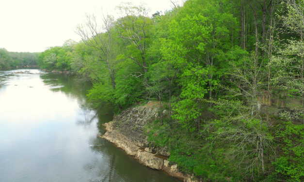 Greensboro Publishes ‘Year One’ Report on Its 1,4-Dioxane Chemical Discharges