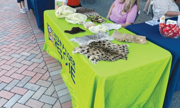 Carolina Tiger Rescue Hosts Third Annual Virtual 5K