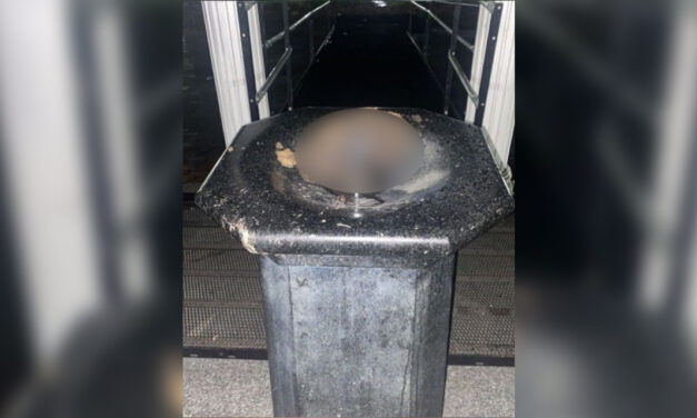 Don’t Worry: UNC Cleaned Up ‘Vandalism’ at Old Well Before Classes Began