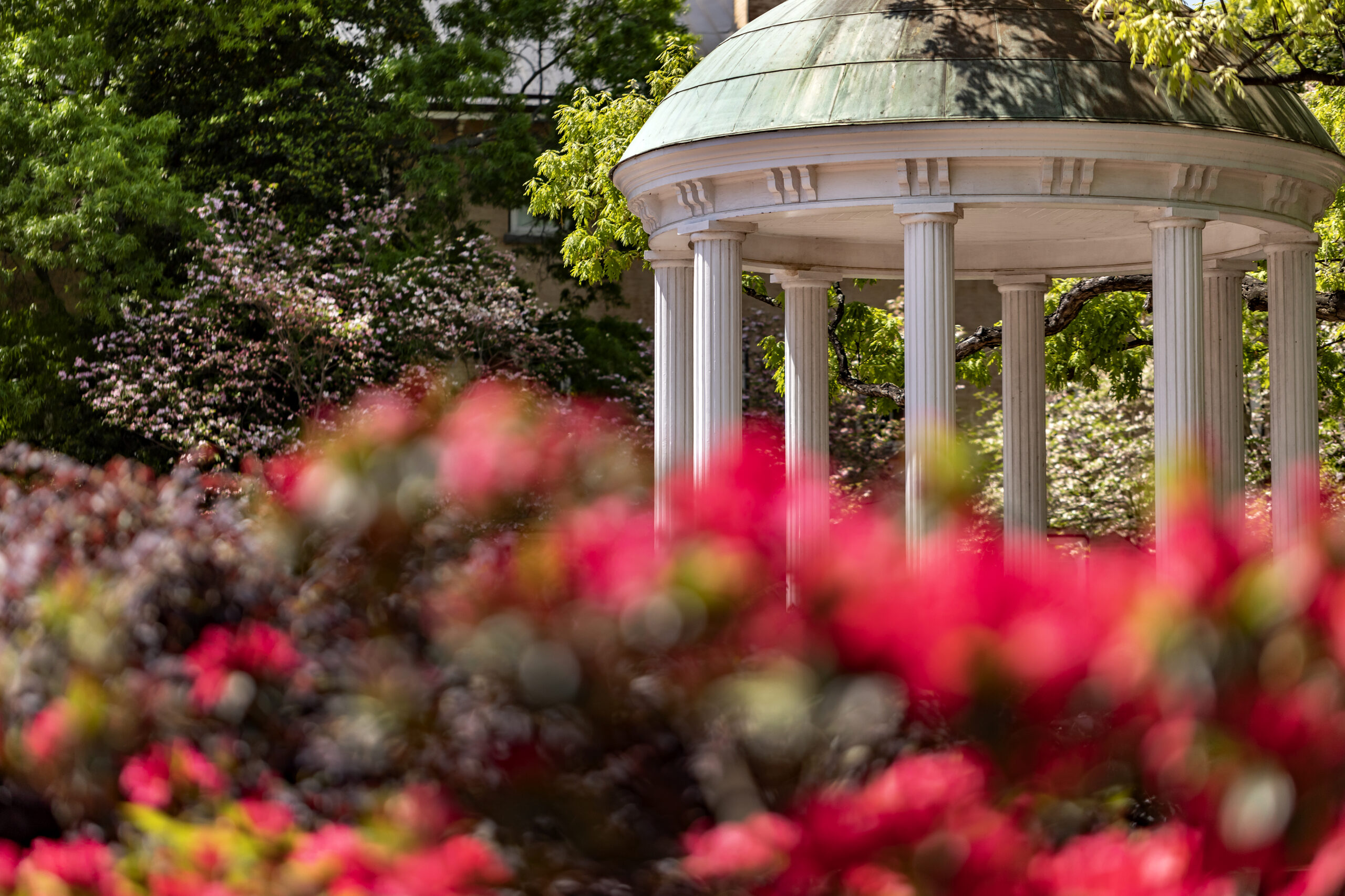 UNC-Chapel Hill selected to host 2023 World Anti-Bullying Forum - UNC  School of Education