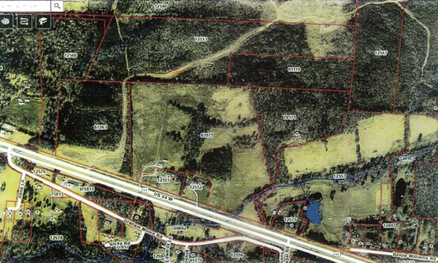 Wolfspeed Rezoning Request Approved in Chatham