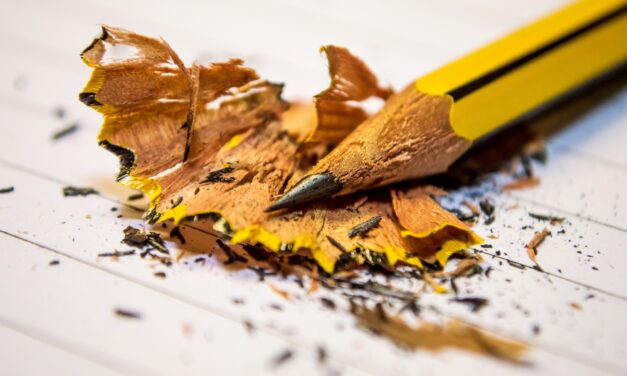 Viewpoints: Chatham County Schools Opinions