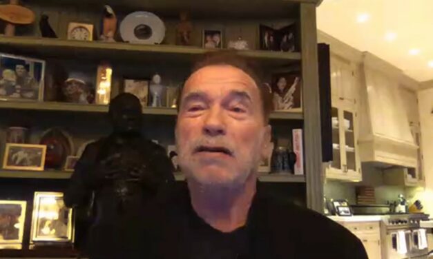 Yes, Arnold Schwarzenegger Actually Crashed a North Carolina Election Workers Call