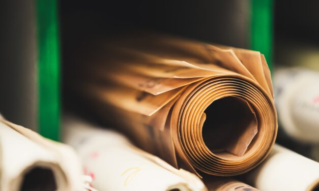 Exploring Your Creative Genius: What’s Your Creative Profile?