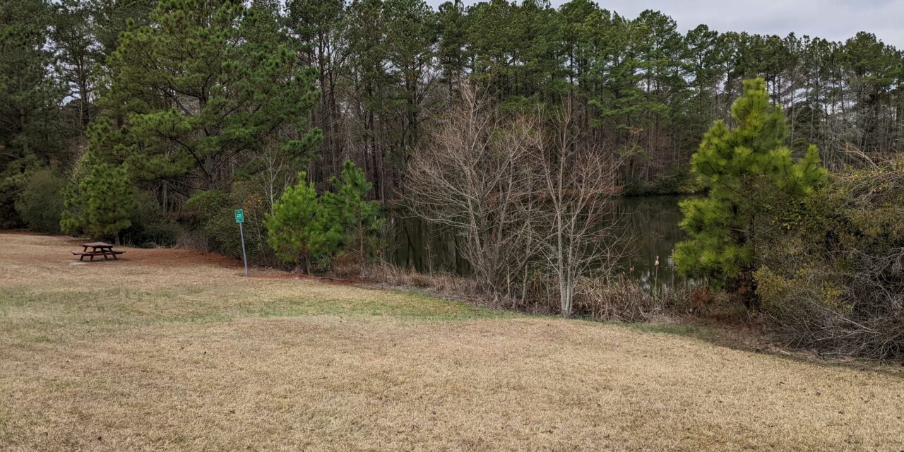 Chapel Hill to Downsize Legion Pond Into Constructed Wetland After Latest Site Report