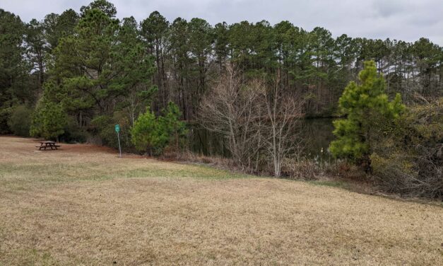 Chapel Hill to Downsize Legion Pond Into Constructed Wetland After Latest Site Report