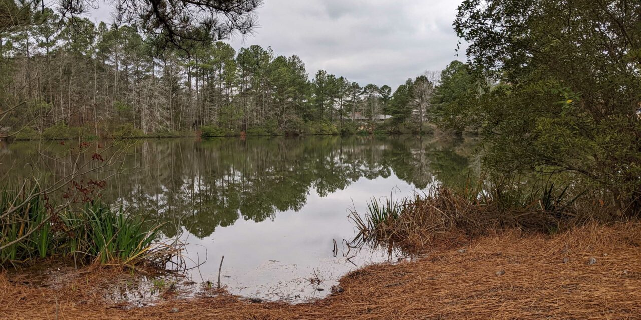 What’s the Future of Legion Pond? No Matter What, Chapel Hill Will Drain It