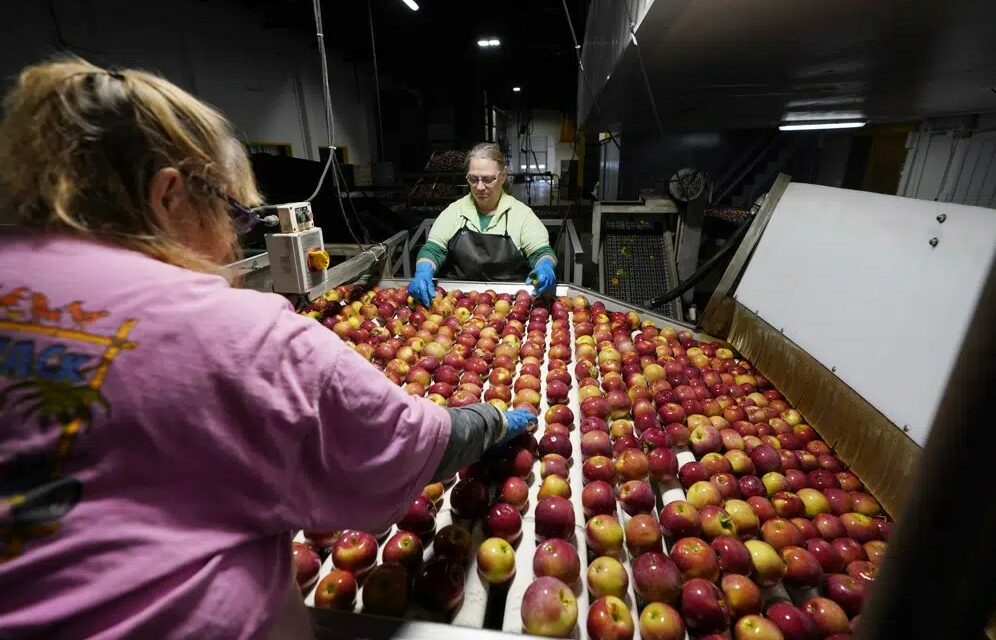 Fight To Curb Food Waste Increasingly Turns to Science