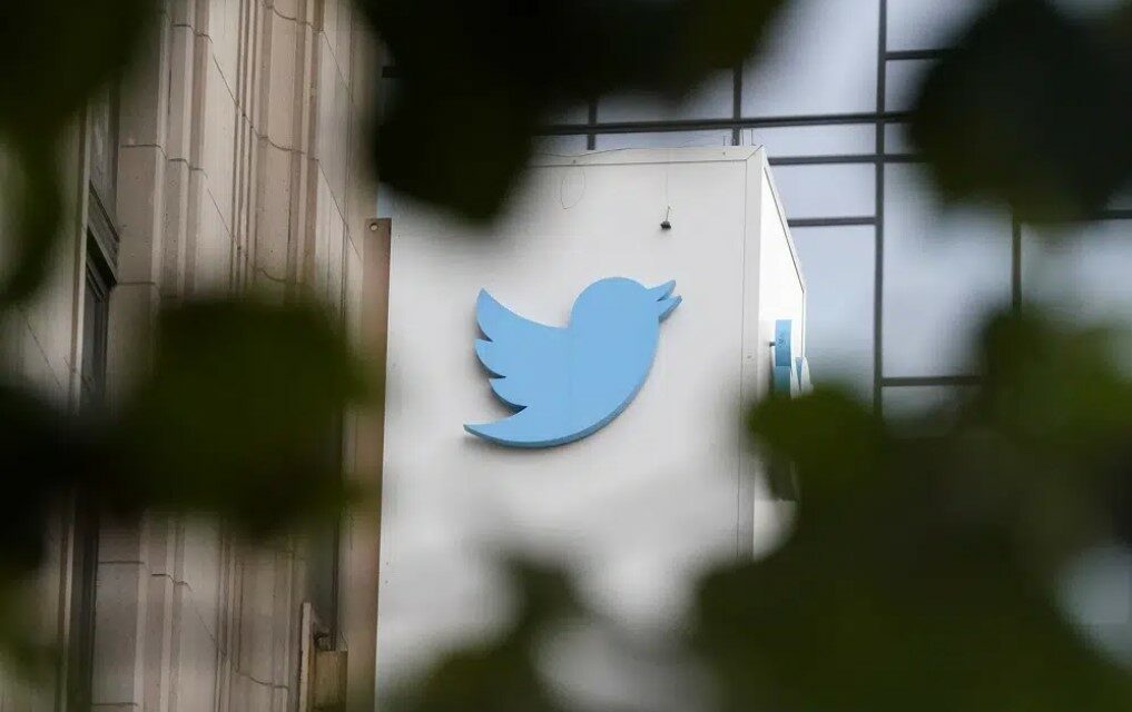 Twitter Suspends Journalists Who Wrote About Owner Elon Musk
