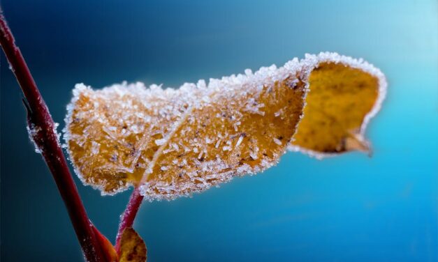 Penny for Your Thoughts: Well, That Was Cold!