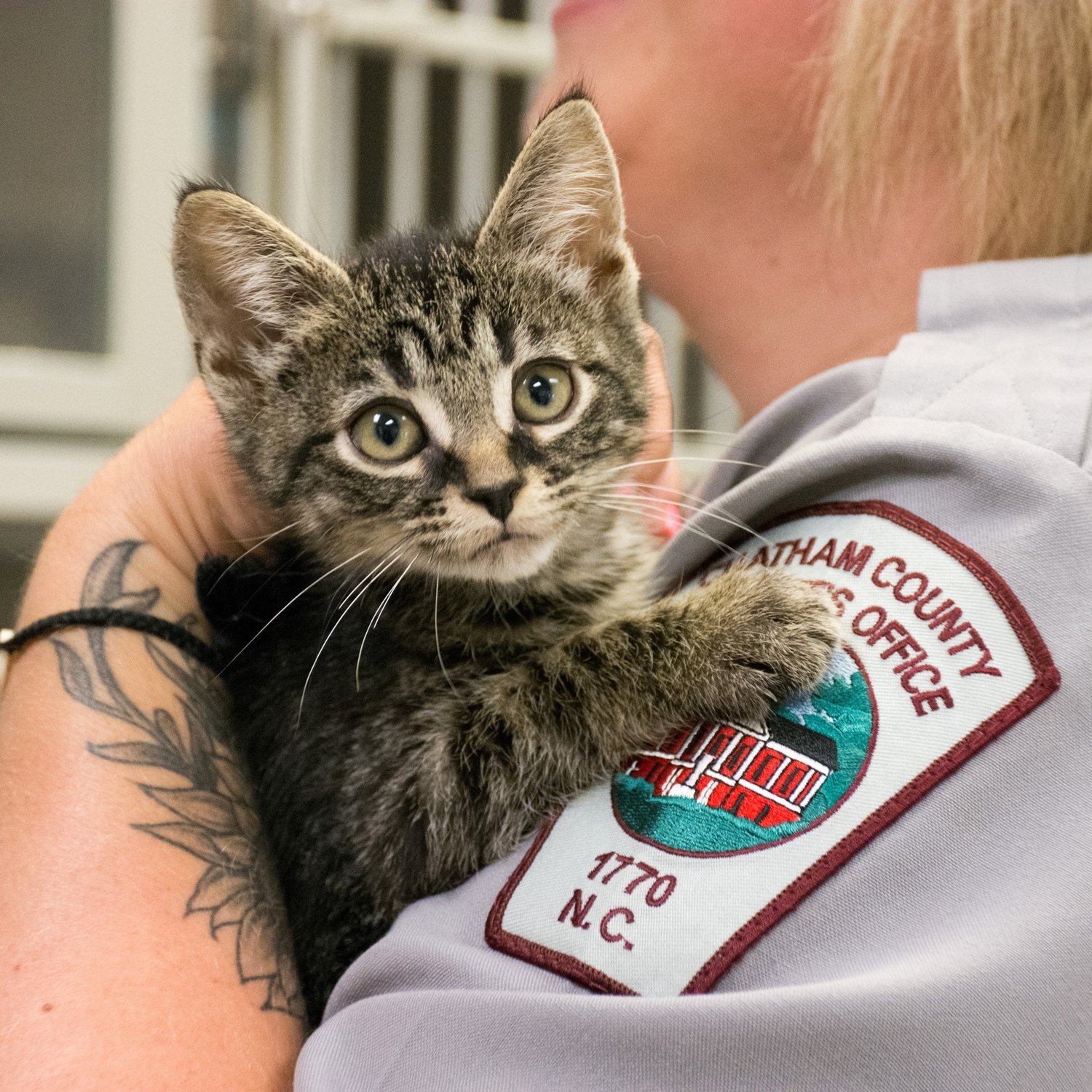 How the Chatham County Animal Shelter Has Fared Since Sheriff’s Office Transition
