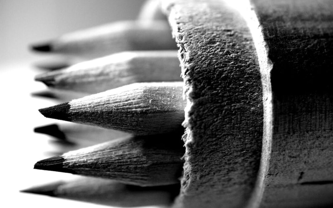 Small Business, Big Lessons® — Have an Opinion