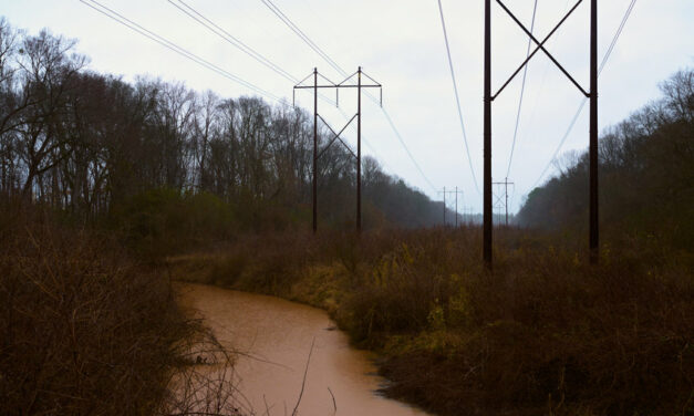 Haw River Wetlands and Streams Would Be Harmed Under Proposal for VinFast