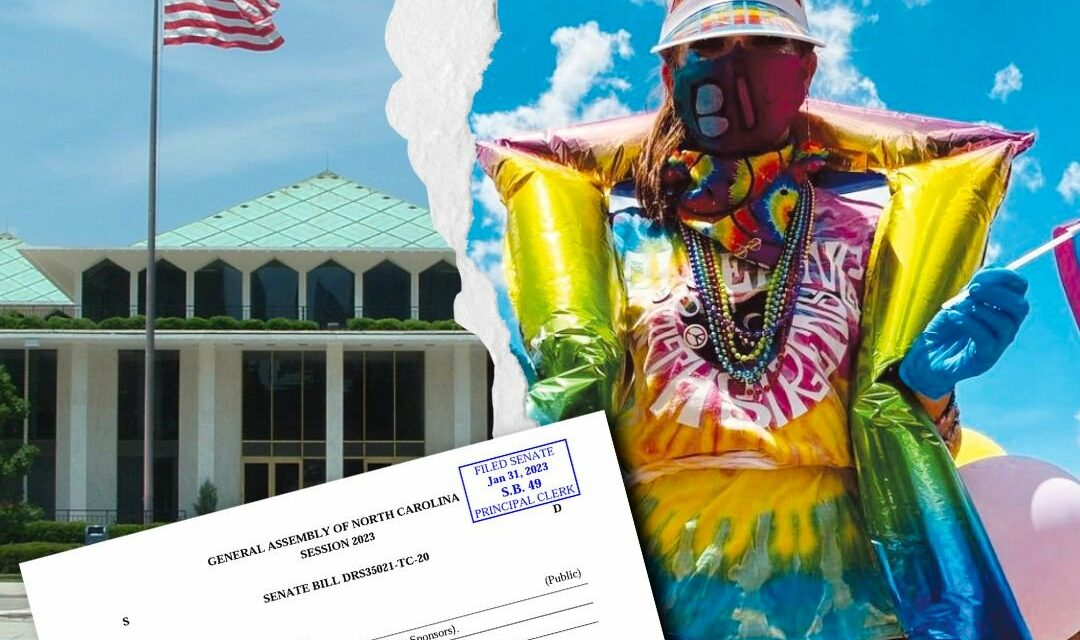 Chatham Education Advocates Push Back Against ‘Parents Bill of Rights’