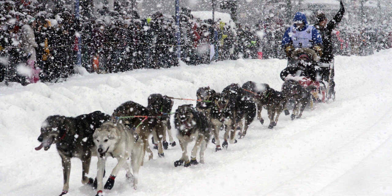 ‘A Little Scary’: Iditarod Begins With Smallest Field Ever