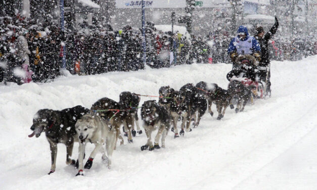 ‘A Little Scary’: Iditarod Begins With Smallest Field Ever
