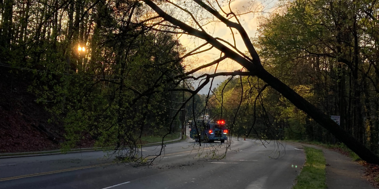 Tree Down Across Raleigh Road Backs Up Chapel Hill Traffic