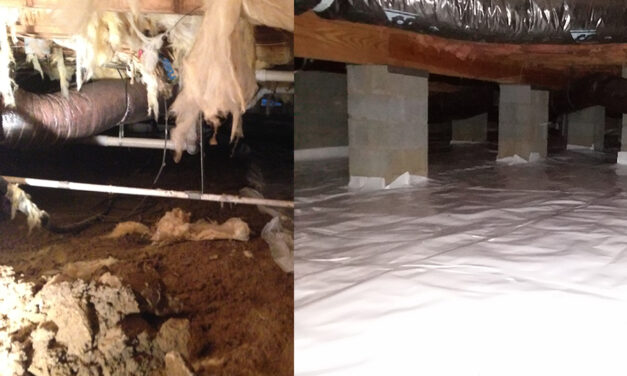 Triangle Crawl Space Solutions: Hidden Spaces, Big Issues!