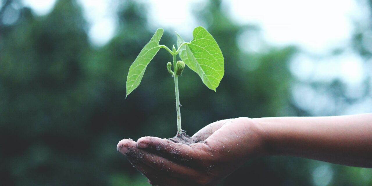 Looking for Ways to Celebrate Earth Day? Check Out These Local Events.