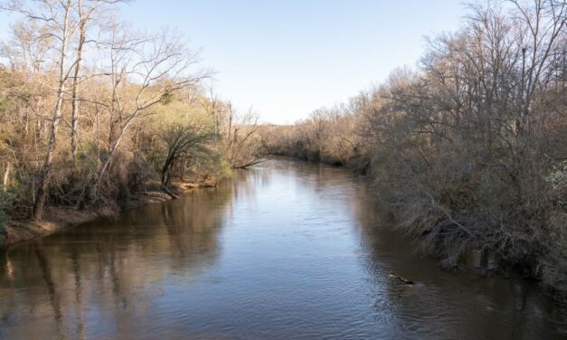 Challenges to the Clean Water Act Could Endanger the Neuse River