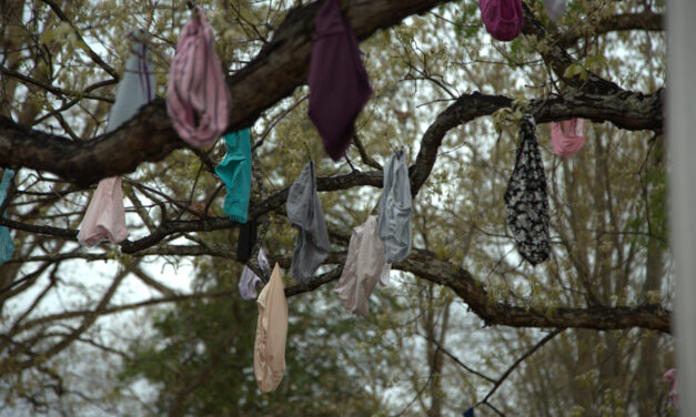 Low-Hanging Fruit: UNC Students Bring Awareness to Sexual Violence on Campus