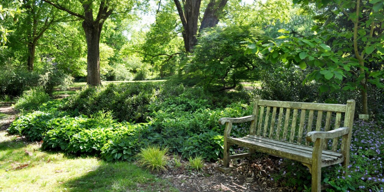 ‘We Were Girls Together’: Coker Arboretum and Remembrance