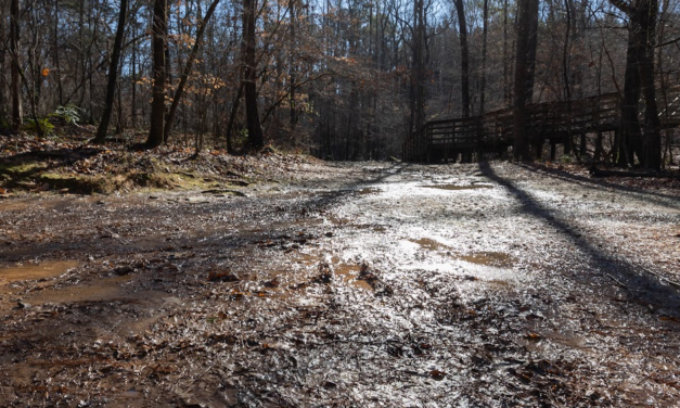 Viewpoints: Let’s Complete Carrboro’s Greenway and Connect Our Schools, Parks and People