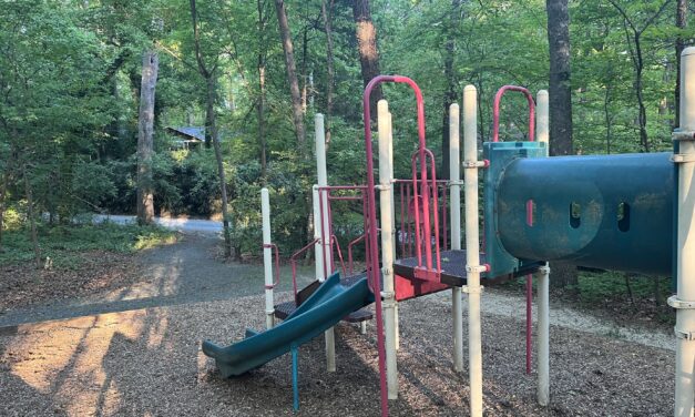 Inside the Alternative Homeschooling Movement: What Happens When Play Becomes Learning