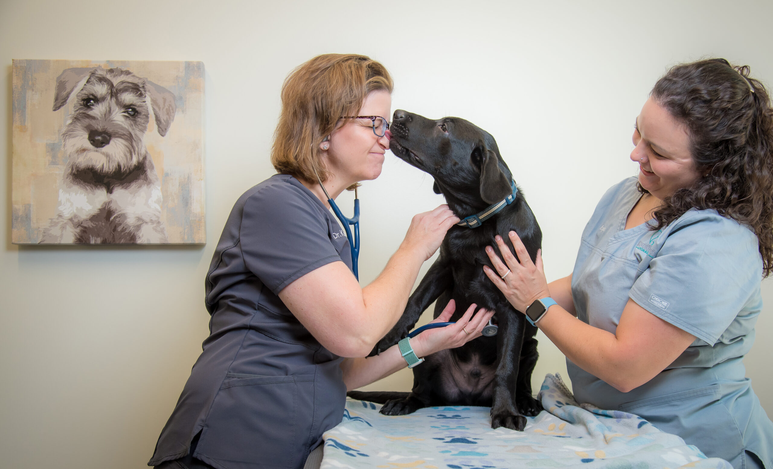 Grand Opening of Kindred Heart Animal Hospital at Governors Village ...