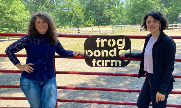 Sincerus Healing Uses Horses to Promote Healing