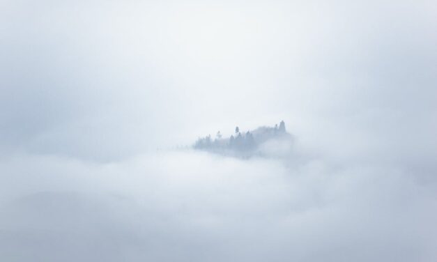 Viewpoints: The Fog of War and Politics