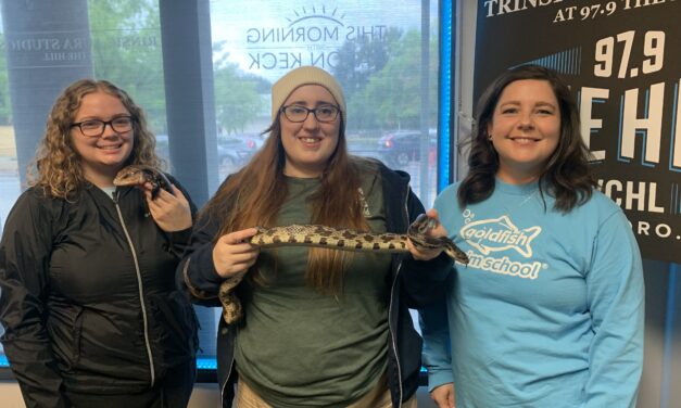 Goldfish Community Superstars: BeWild Reptile Rescue