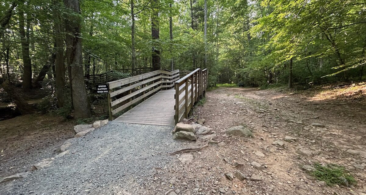 Carrboro Launches Survey on Future of Bolin Creek Greenway
