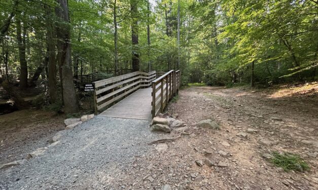 Carrboro Launches Survey on Future of Bolin Creek Greenway