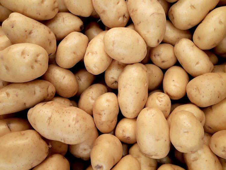 Small Business, Big Lessons® – Hot Potato