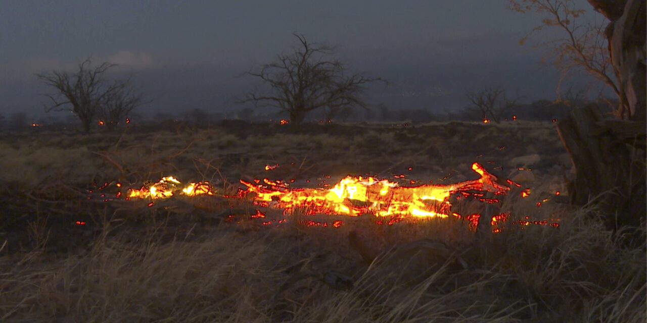 At Least 36 Killed on Maui as Fires Burn Through Hawaii and Thousands Race To Escape