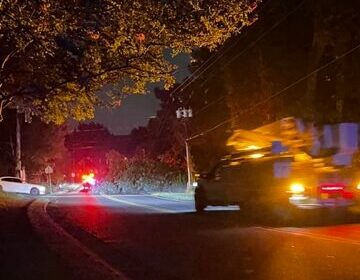 Chapel Hill: Fallen Tree Knocks out E. Franklin Street Power