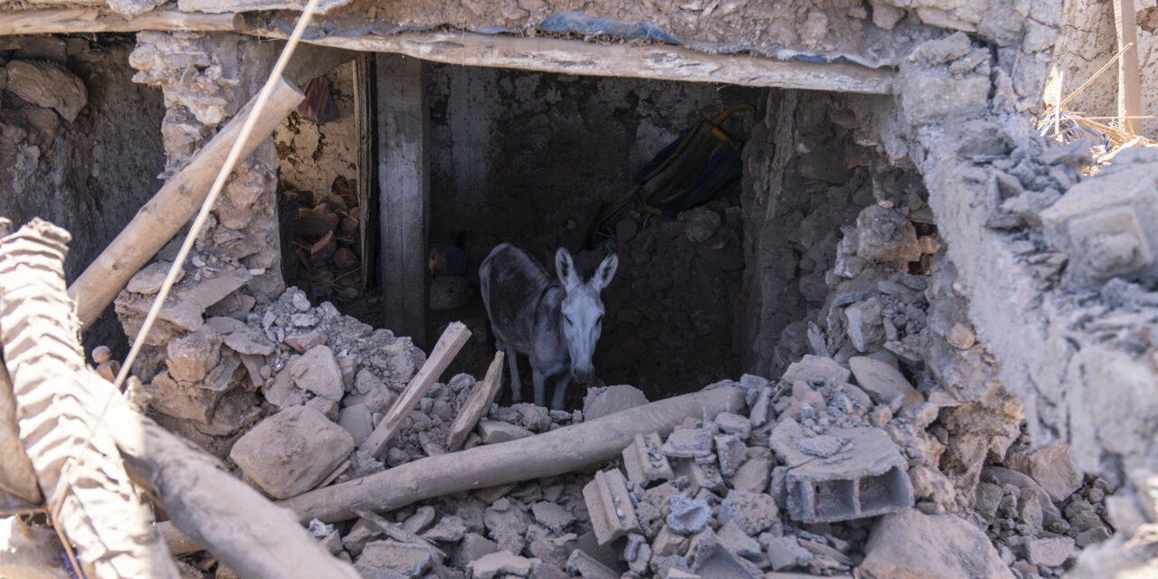 Moroccans With Shovels and Bulldozers Dig Through Rubble but Hope for Survivors Dwindles After Quake