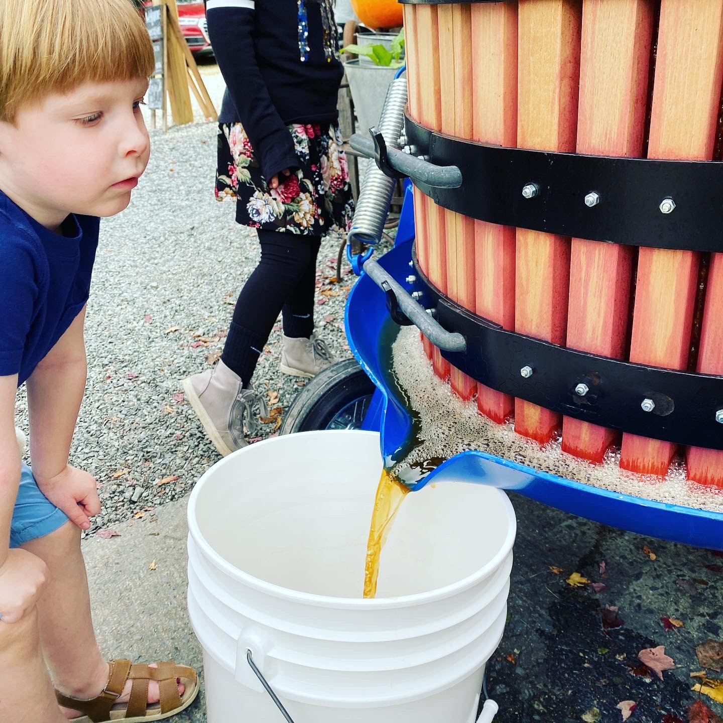 A9ABD80B-CF97-465B-9893-9F8E5F8F8F14