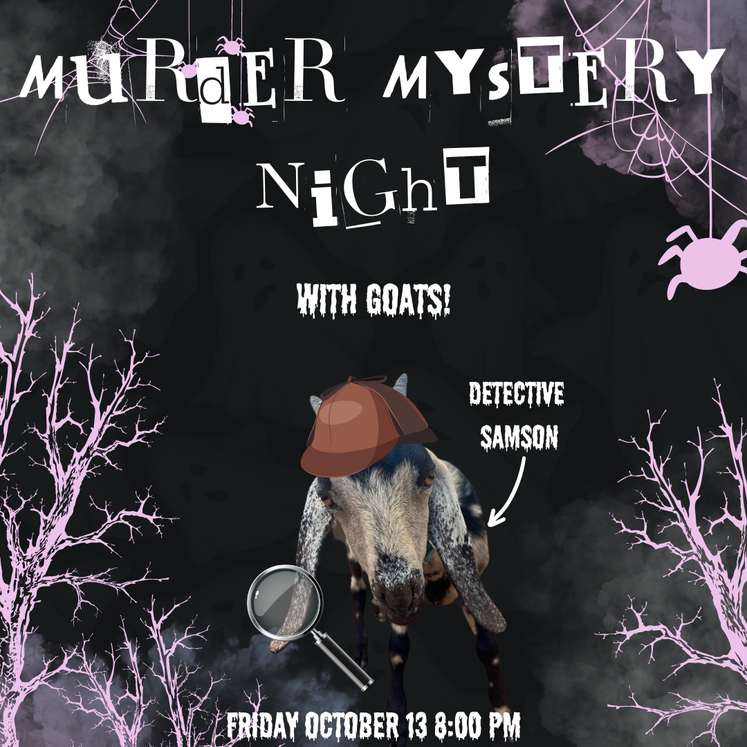 Murder Mystery Night (1)
