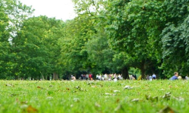 Viewpoints: How Much Does Chapel Hill Spend on Parks and Recreation?