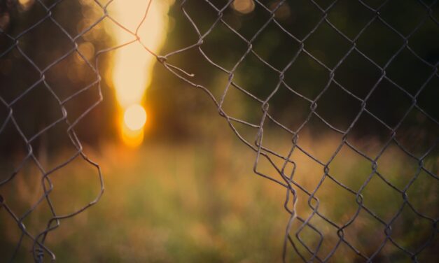 Small Business, Big Lessons® – Do You Have an Invisible Fence?