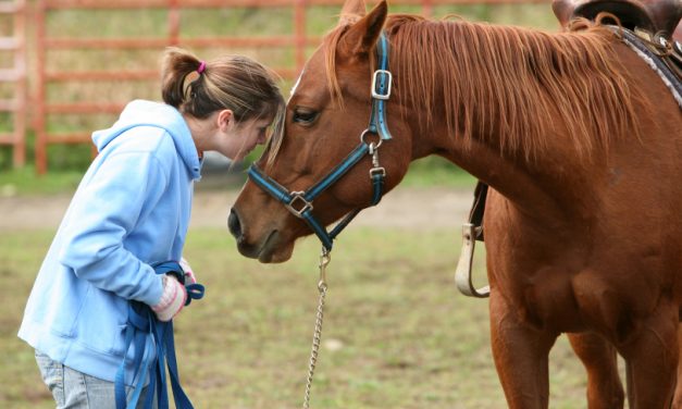 Gas Pipeline Woes Shut Down Therapeutic Riding Program