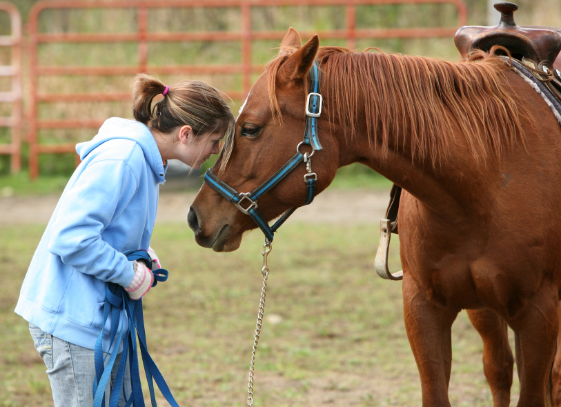 Gas Pipeline Woes Shut Down Therapeutic Riding Program