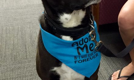 Adopt Coop Dogg: The Perfect Pal