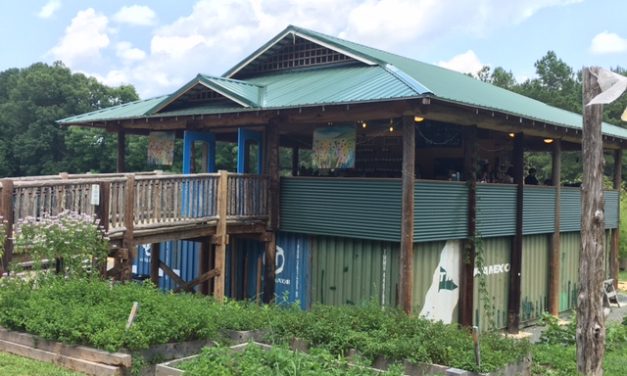 Honeysuckle Tea House: Chapel Hill’s Natural Escape