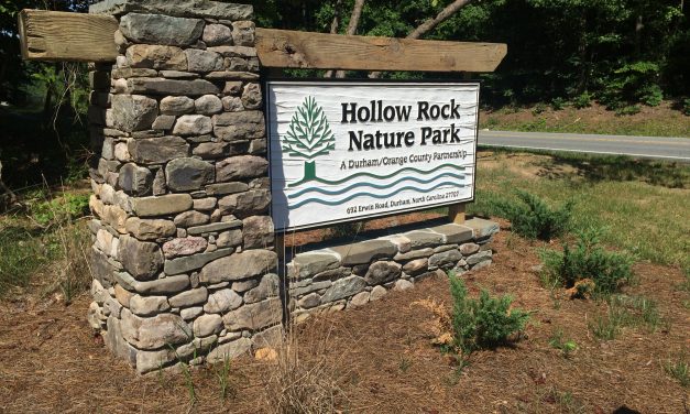 A Tour of Hollow Rock’s New Nature Park