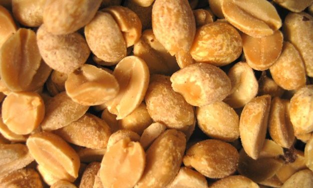 UNC Researchers Attempt to Tackle Peanut Allergy