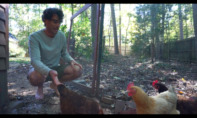 Chickens are Smarter Than You Think