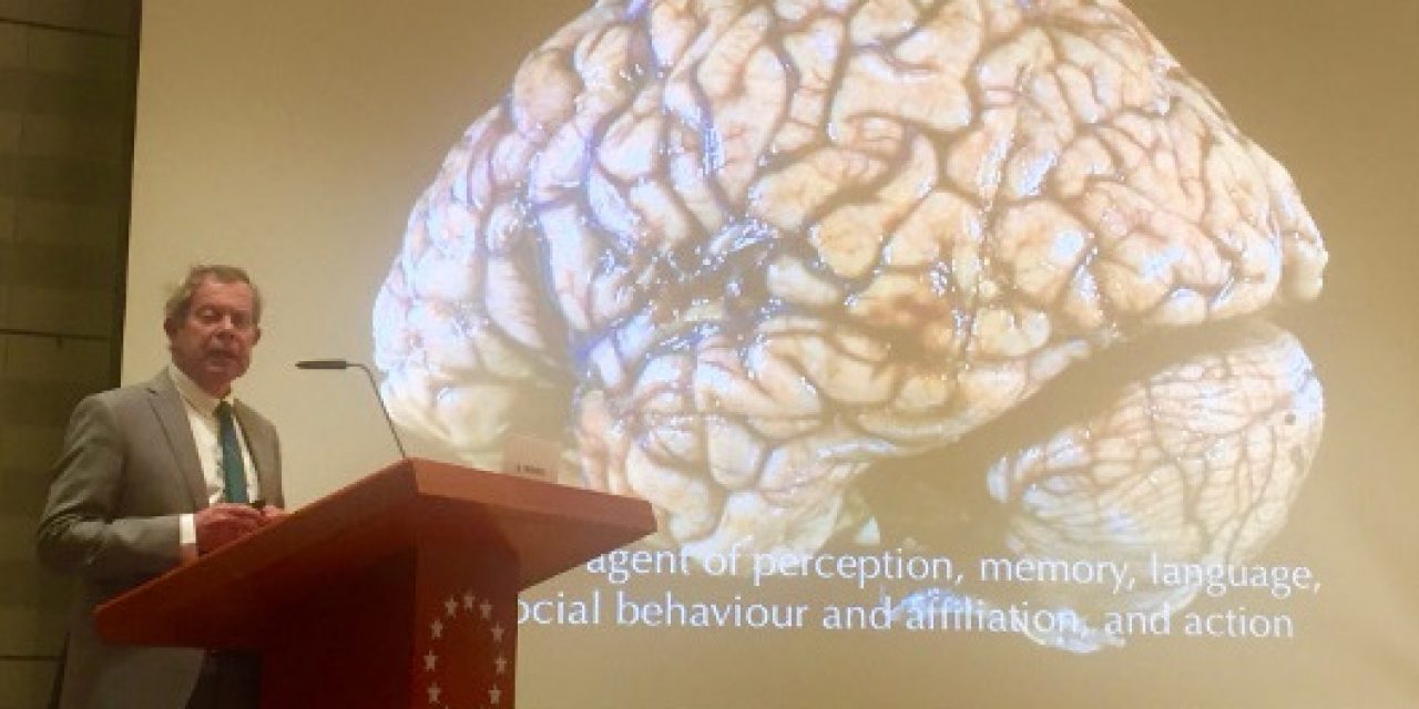 UNC Neurologist Plans Lecture for Brain Awareness Week